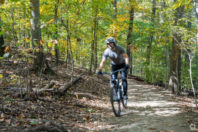 The Reedy Creek Trail offers scenic miles to explore adjacent to Reedy Creek.