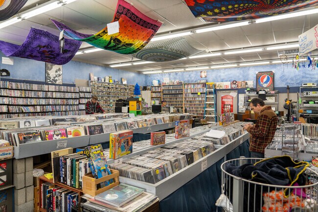 Music lovers enjoy browsing the records and CDs of O'Fallon's Music Reunion.