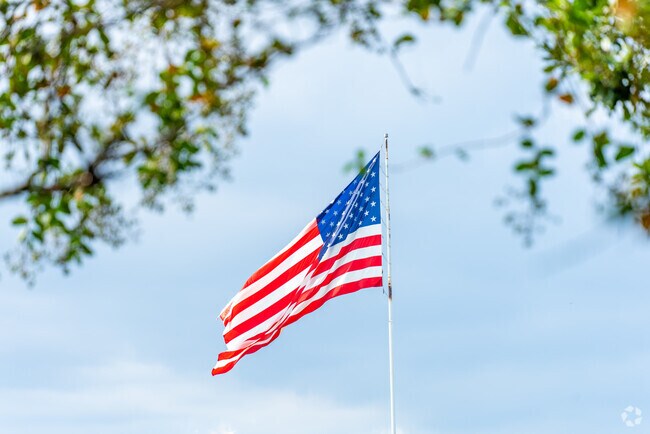 Discover the pride of Downtown Lake Charles with the American flag waving proudly.