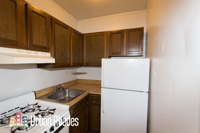 833 W Wolfram St unit A09C, Chicago, IL 60657 - photo 4