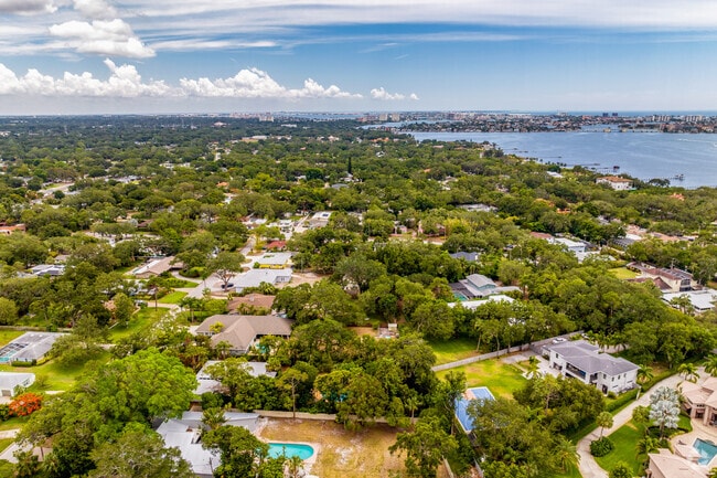 Jungle Prada neighborhood is covered in lushes beautiful trees.
