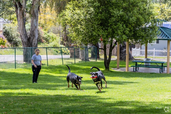 Nancy Jane Park is a great place to bring pets for play.