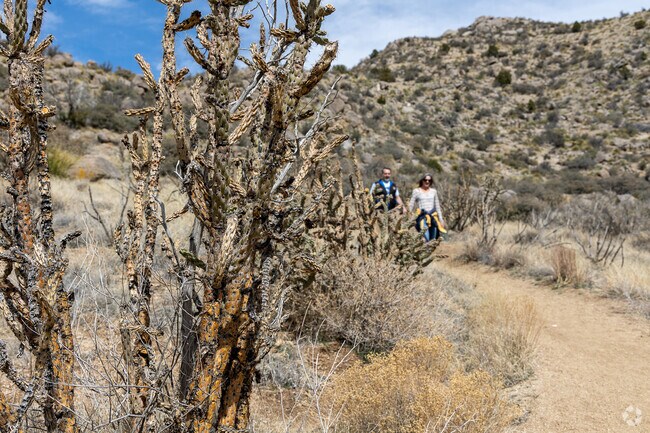 The trails in Foothills North weave through the local flora and fauna.