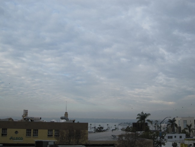 Porta D'Italia unit 211, San Diego, CA 92101 - photo 6