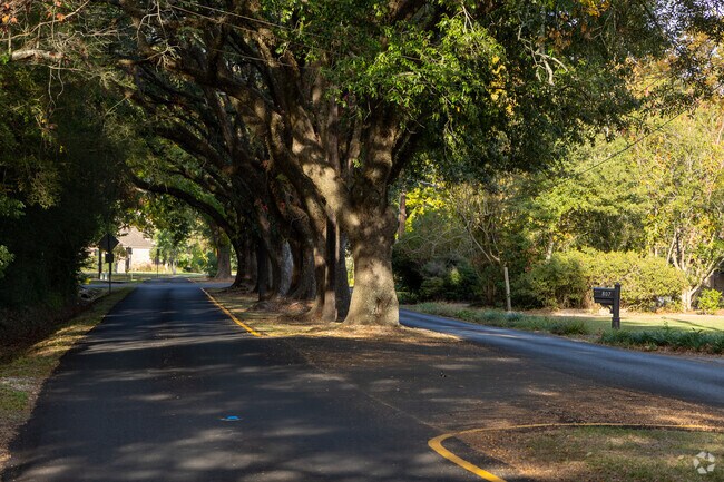 Bois De Lafayette has many roads split by trees adding charm and shade to the homes nearby.