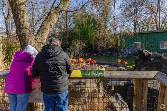 Spend a day exploring the many different animals found at The Maryland Zoo.