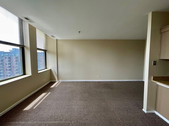 40 E Cedar St unit 15E, Chicago, IL 60611 - photo 4