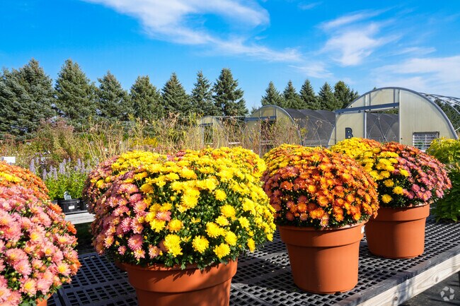 Countryside Flower Shop near La Fox offers plants and décor.