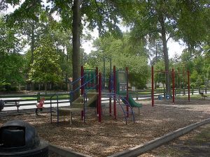 Jungle Gym, Swings and rides
