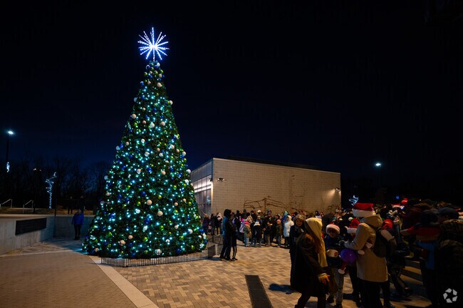 The crowd cheers as the tree is lit at the Westfield in Lights festival.
