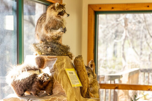 Visit the Nature Center at Ray Harral Nature Park to learn about local wildlife near Downtown BA