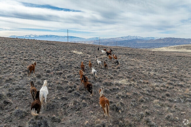 To the east of Spanish Springs, lengthy trails attract hikers, so watch for wild horses.