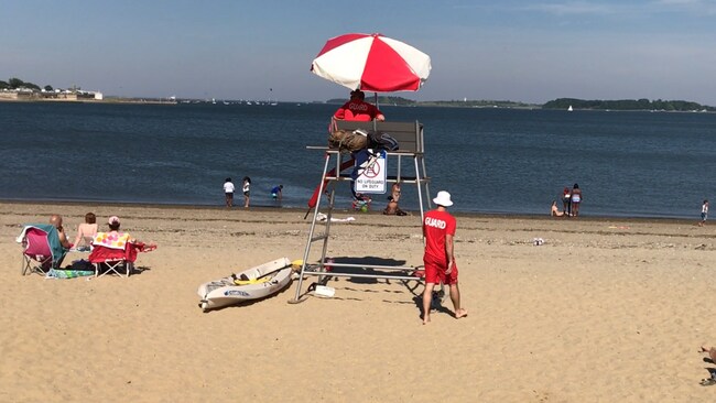 130 W 8th St unit 2, Boston, MA 02127 - photo 7