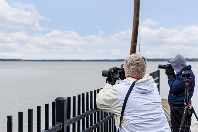 Bird watchers gather on the shores of Onondaga Lake to photograph bald eagles.