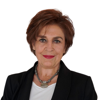 Farzan Parvizi