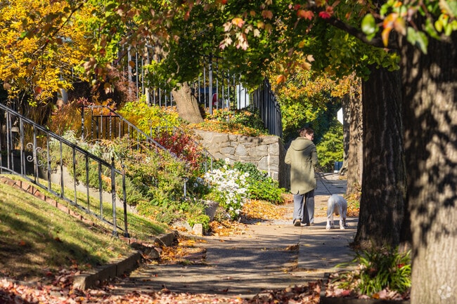 Shady streets in Cool Spring-Tilton Park are perfect for a relaxing dog walk.
