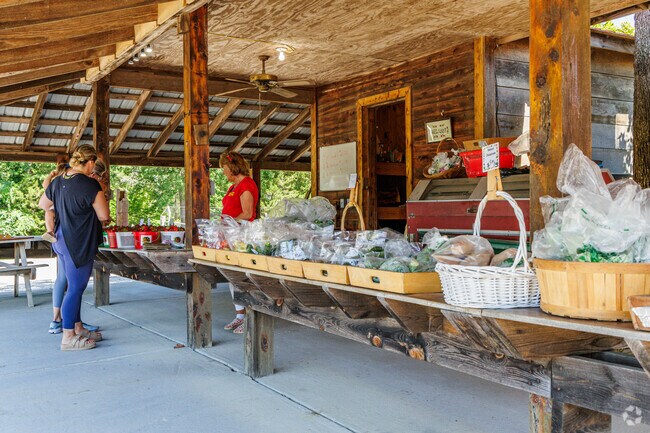 The "Little Red Roof" of Bernie's Berries is an iconic landmark in Groometown.