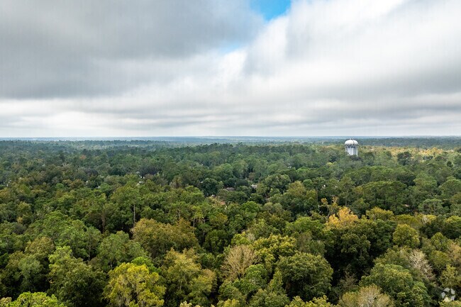 There is a beautiful forest that borders Forest Ridge, where you can find lots of nature.