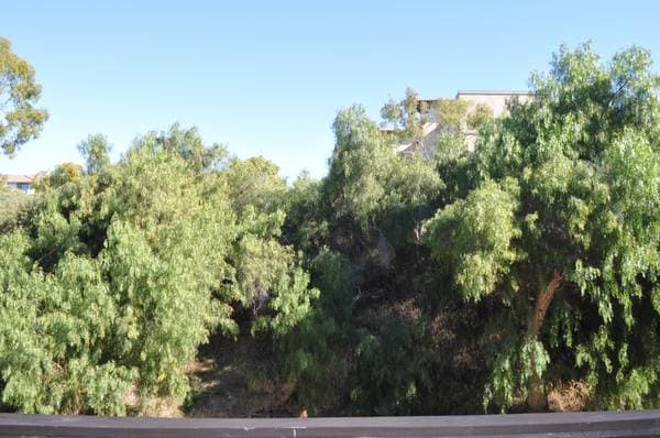 8085 Caminito de Pizza unit P, San Diego, CA 92108 - photo 2