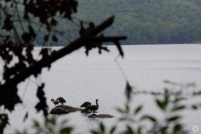 At the center of Sterling Forest State Park is Sterling Lake.