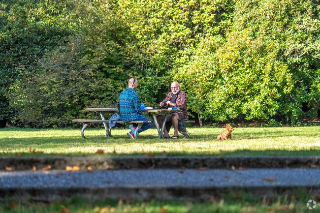 Catch up with a friend and have a picnic at Wilcox Park in Maple Leaf.