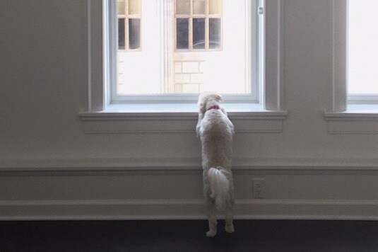 The Washington, New Haven, CT 06510 - photo 2