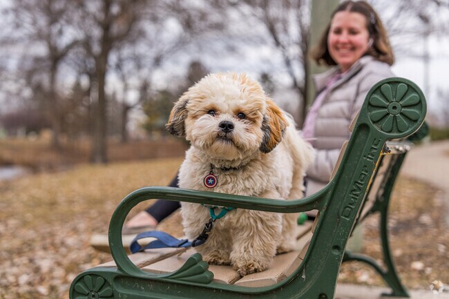 A cute dog enjoying the afternoon in Wolfe Park