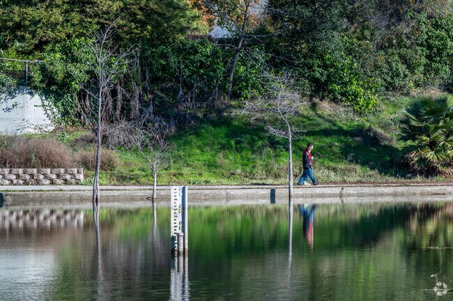 Go for a walk around the lake in Niles community Park.
