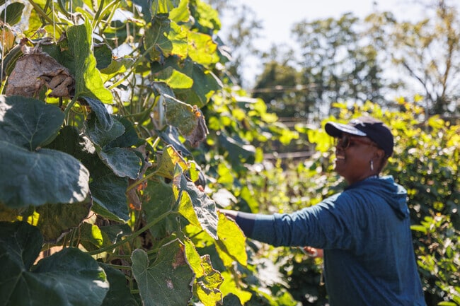 Garden plots at Leakin Park provide Shipley Hill residents a spot for hands-on gardening.