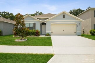 3669 Crimson Clover Dr, Mount Dora, FL 32757