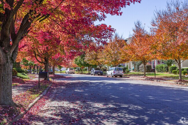 The Village comes alive with vibrant fall colors.