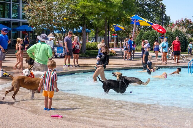 The annual Doggie Dunk takes place at Keller Pointe.