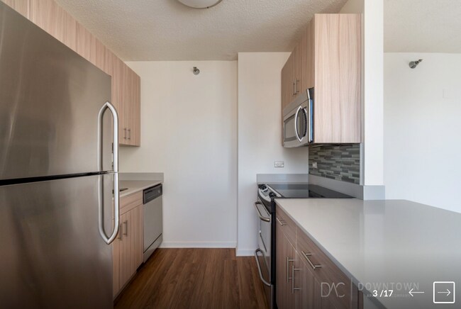 Admirals Pointe unit 3103, Chicago, IL 60654 - photo 4