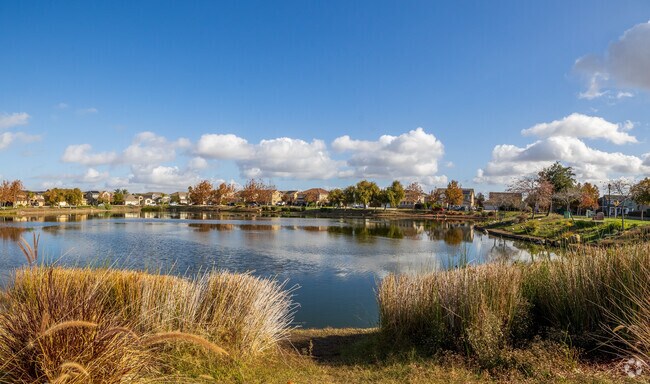 Cypress Grove Park is a beautiful to spend time in Oakley Ca.