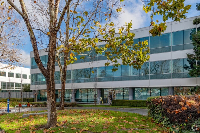 Avenues The World School offers a space where all people can learn and thrive.