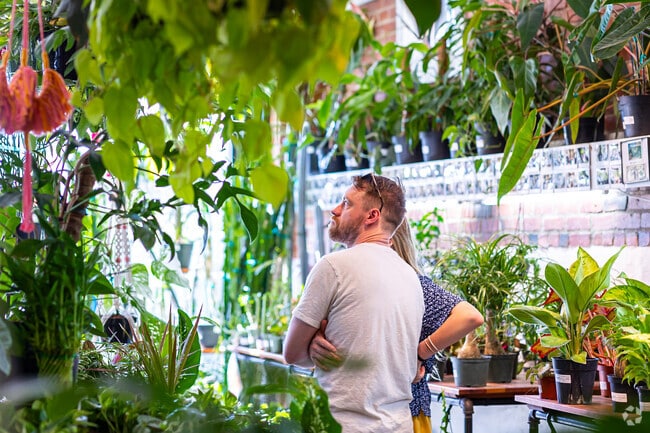 Local retailers are very popular in the Power & Light District MO.