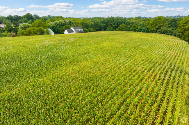 Corn fields stretch far and wide in Lexington making for a positive farm business environment.