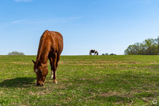 Locals can take a horseback ride through Carousel Park, just a short drive from Hockessin.