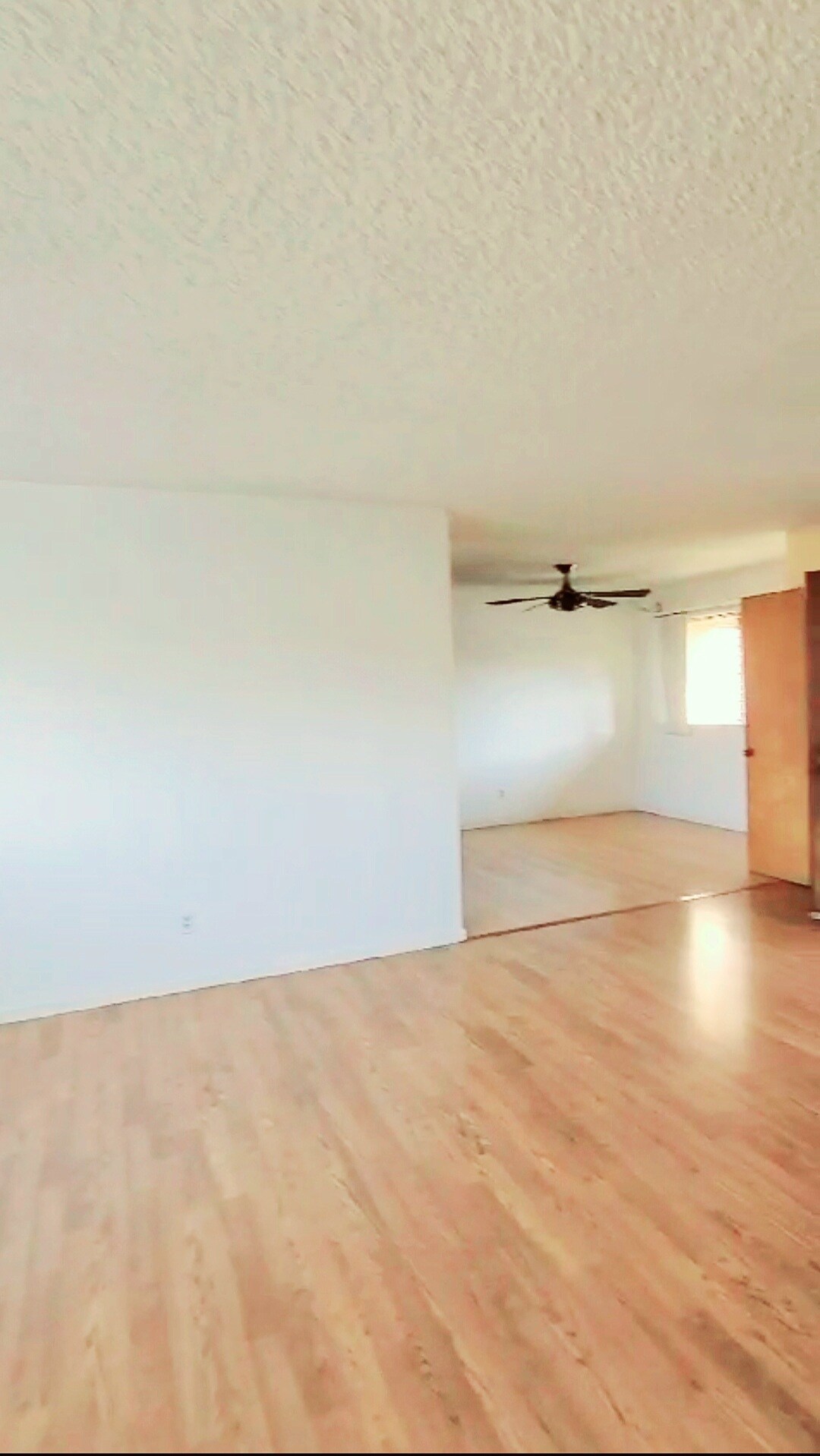 view from hallway