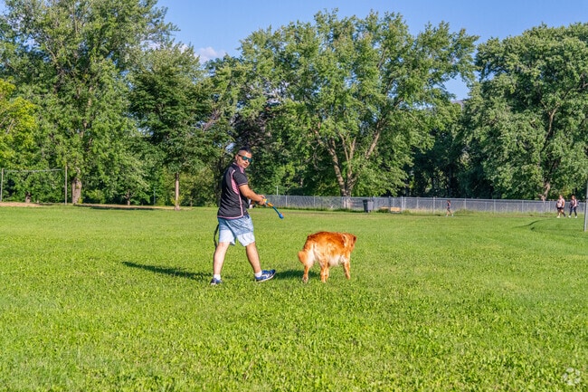 Cook Park has a dog park that residents can use.