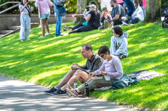 On sunny days, Mercerwood locals flock to local parks to enjoy a picnic.