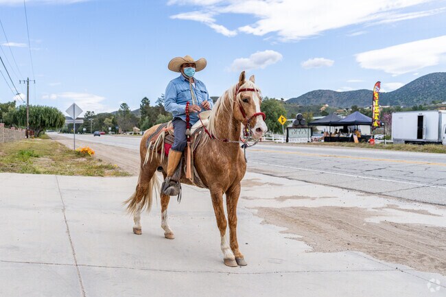 A man rides his horse along Sierra Hwy in Agua Dulce.