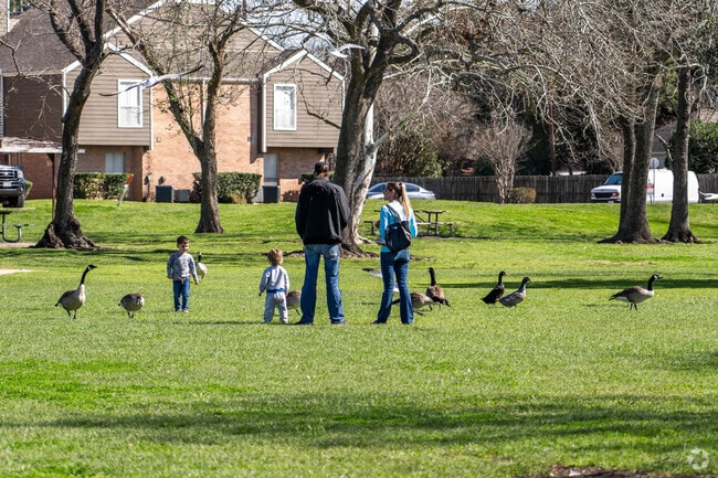 A family feeds ducks at a neighborhood pond, located in central Lake Jackson.