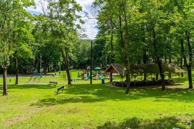 Locals from Barry come to Eureka Park in Ashland and gather at the pavilion for parties.