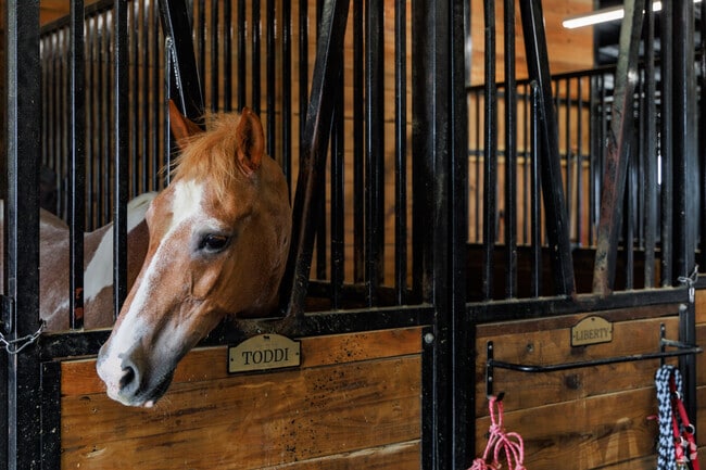 Freedom Acres Ranch in Krum offers a variety of horseback riding experiences.