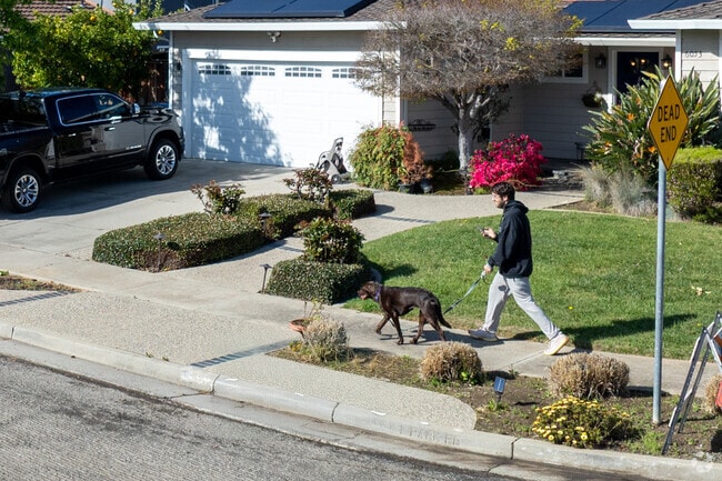 Crossgate offers pet-friendly streets with plenty of space for safe and scenic dog walks.