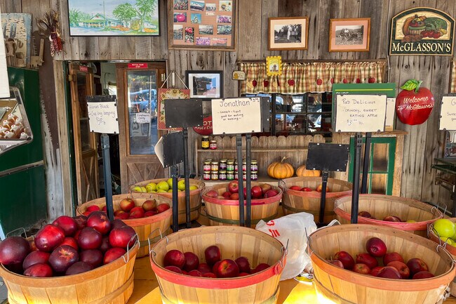 You can find many different apple types and other fresh fruits when you visit McGlasson Farms.