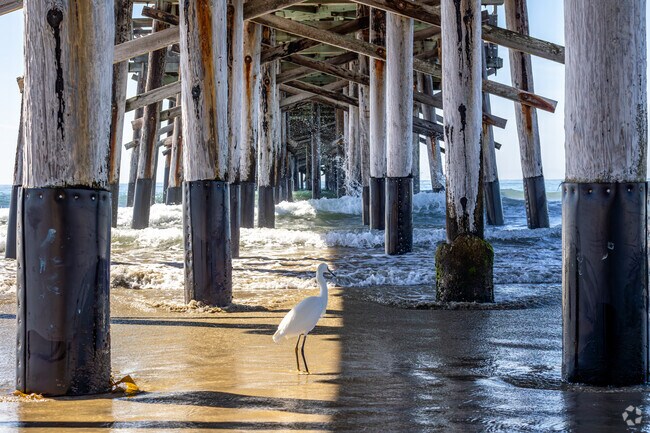 Take a stroll on the beaches along Balboa Peninsula near the world famous Newport Pier.