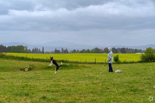 Brush Prairie pups love playing fetch and socializing at Lucky Memorial Dog Park.
