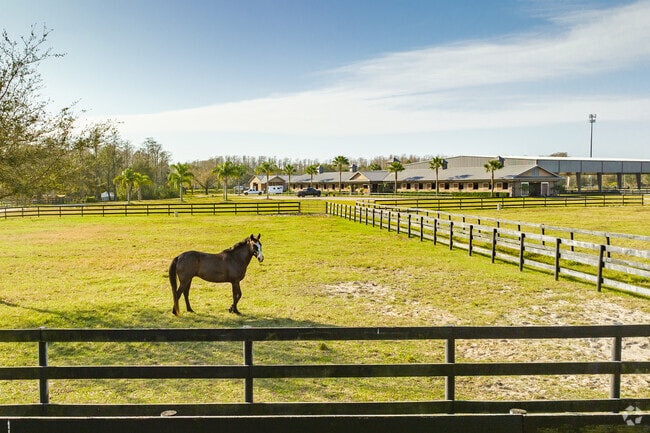 Dreamstead Stables horses